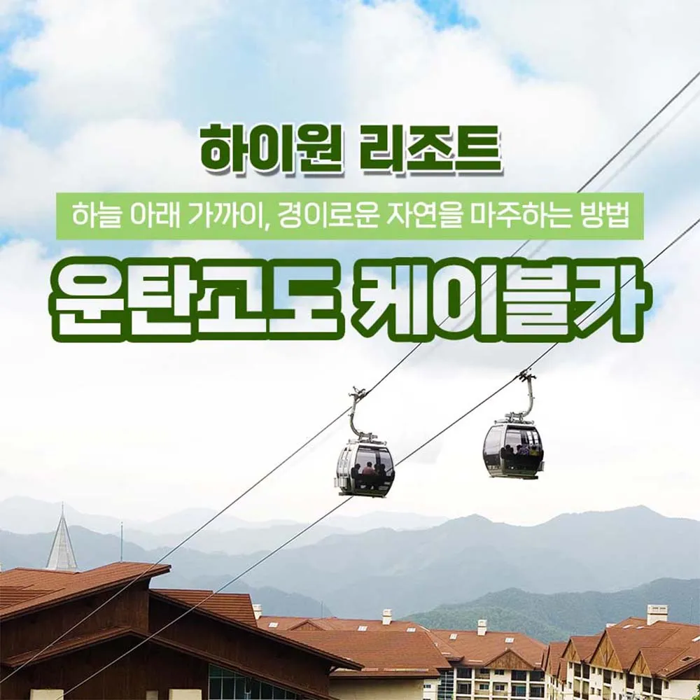 하이원리조트 운탄고도케이블카 이용권